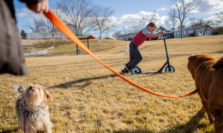 Dog Bites a Trespasser